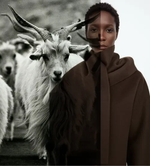 Cashmere