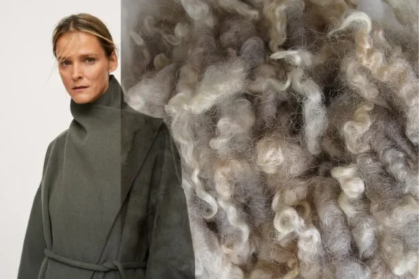 Wool